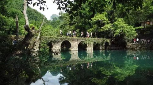 b) 观鸟之旅——黄昏时分最佳体验