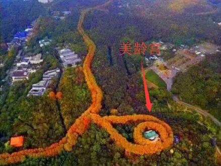 彭泽交通，堵到你怀疑人生