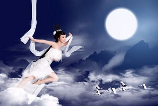 星座的嘶吼——射手与巨蟹对峙