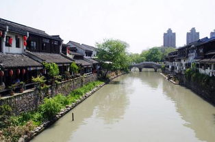三、 河庄街道蜀南村：生态恢复与文旅融合