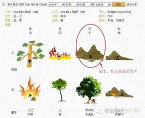 我的八字中贵人排行榜排第几？