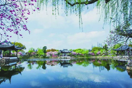 听说五一是免费的？真的假的？（我查了好几遍了！）