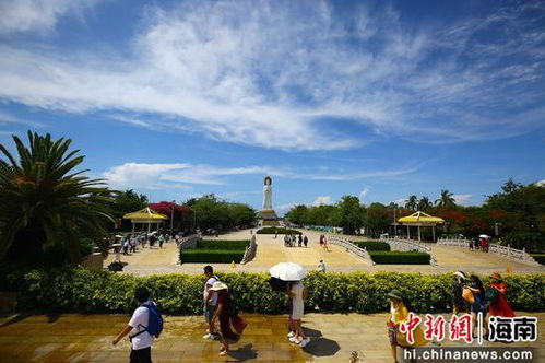 游客的惊喜：海豚的意外邂逅（或者惊吓）