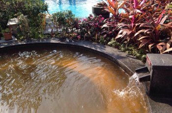 终于见到了真容！中山泉眼温泉到底长啥样？