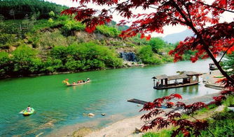 怎么拍照？瞎拍呗！