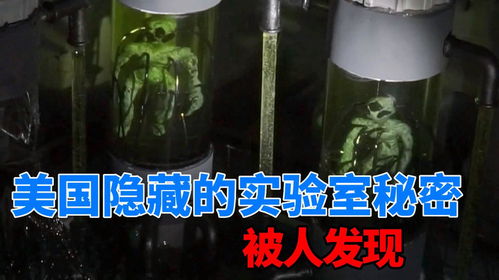 夜半惊魂的试试室