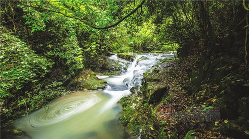 林中暗河与两溪汇流