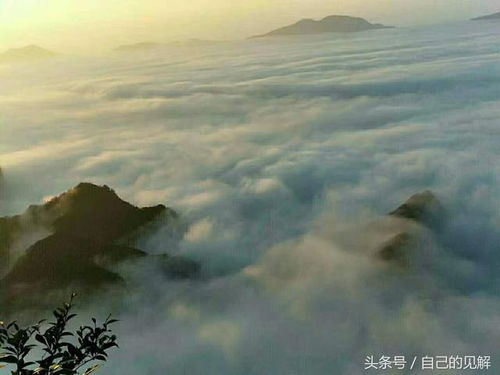 第二章：凌晨三点的闹钟与灵魂的拷问