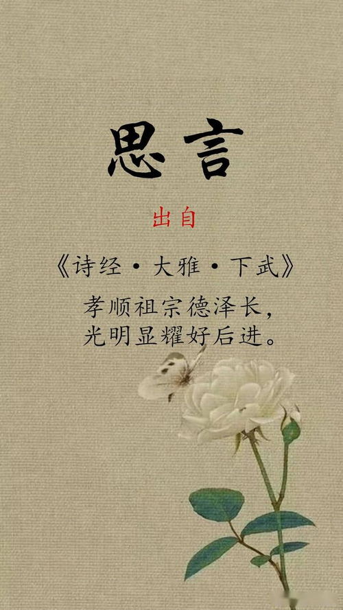 从《诗经》到社交媒体平台：名字里的千年变迁