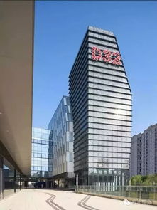 一、周末，我与杭州大厦的爱恨情仇