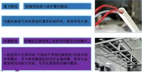 结论