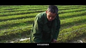 无法拼合的信息碎片
