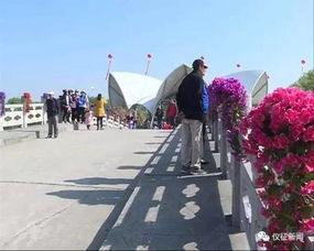 五、亲子互动，乐趣无穷