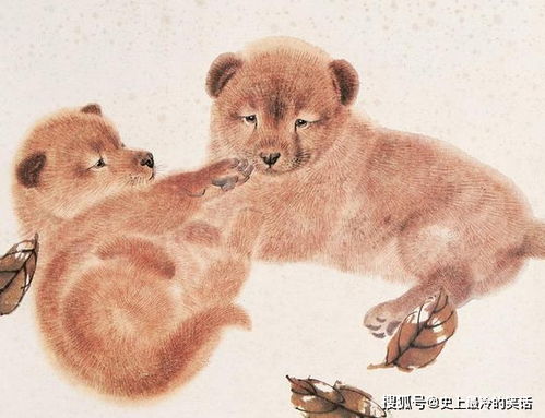 属狗人搬家需知