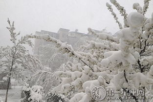 性格分析：梦见下大雪，性格温和之人与偏执之人有何不同？