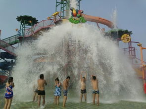 综合对比表格（随手画的， 不保证排版完美）