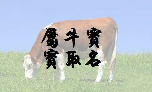 为龙姓石姓宝宝取名宜用字