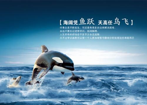 但说实话——这名字真不是谁都能
