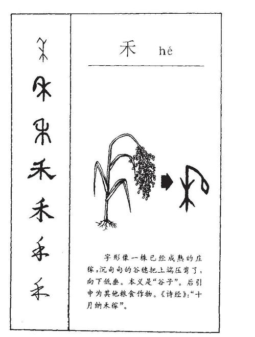 起名这件事真实的太十分沉关键了真实的不只是一个简洁的“把几个字拼在一起”而已！🤯💫