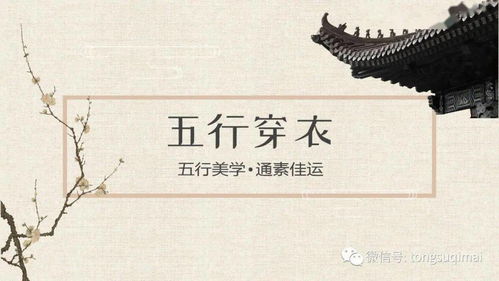 明天辛卯日甲午时出生的人，是否必定大富大贵呢？