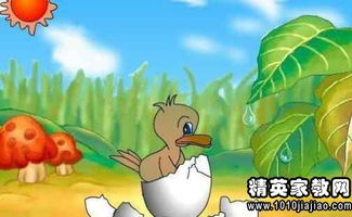 湖边的倒影