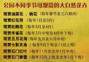 3. 省钱秘籍大公开！