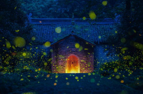 月黑风高，独坐古寺，鬼影幢幢，诗魂夜哭，这难道不是诗人心中的惊悚之夜吗？