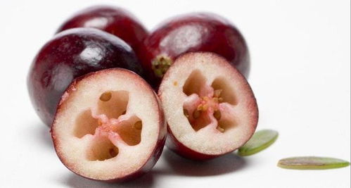 美食探险：肠胃的极限挑战