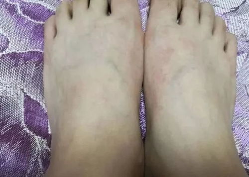一、 梦的起源与解读