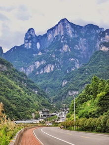不可错过：袁家界与金鞭岩