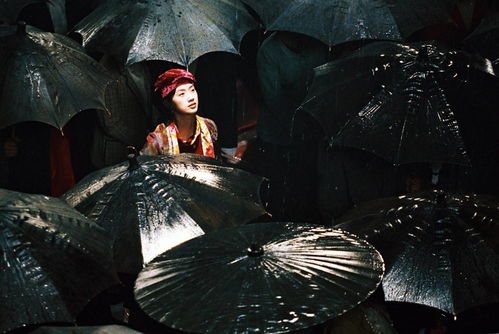 星座运行之异象