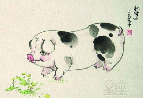 震惊！1994年出生的狗妹纸竟然自带开挂人生剧本？！