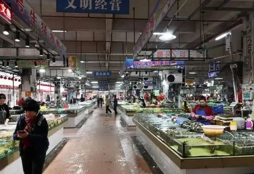 第四章：商业活动与文化底蕴冲突