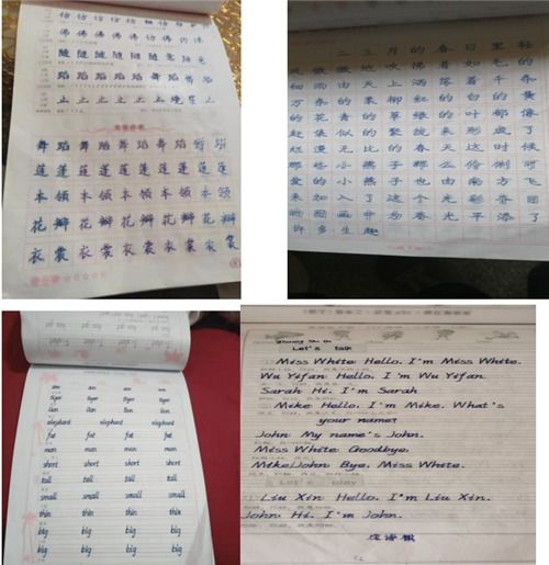 二、 家里为啥总是鸡飞狗跳