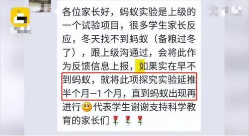 随机噪声二
