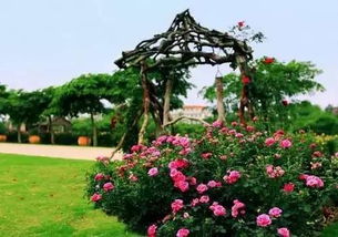 虚假宣传：无耻的谎言