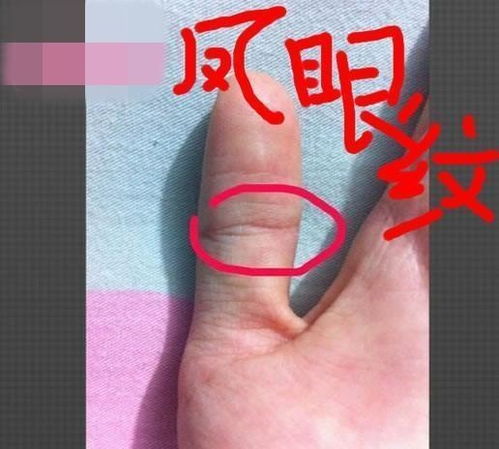 手相看大拇指和食指之间的距离