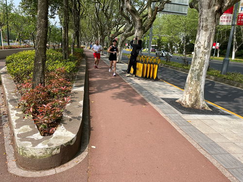 盐城世纪公园：绿意盎然的城市氧吧