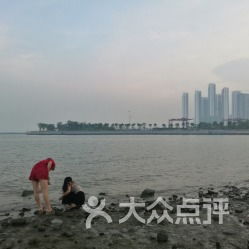 震惊！深圳湾公园竟然不要钱？这破地方到底有啥好看的！