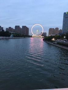 四、 亲子游胜地：海河五大道
