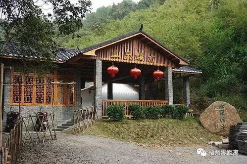 一、草率的开场白——我到底在说啥？