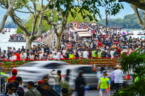 2026年黄金周：人山人海or灵魂出逃？这份避坑指南笑到劈叉