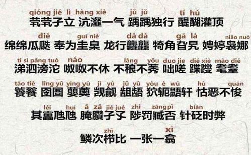 为哪些名字十分沉关键？——我与父母对话的碎片