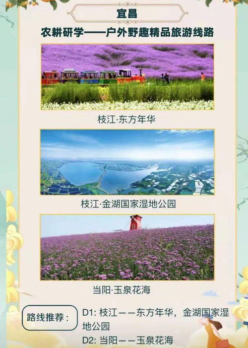 血泪教训：城墙上的肉搏战
