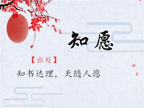 那些年我们错过的发财好名 (深度解析)