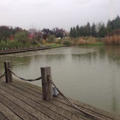 二、芦荡湖湿地：童话般的乐园？ 较小较小心机要点