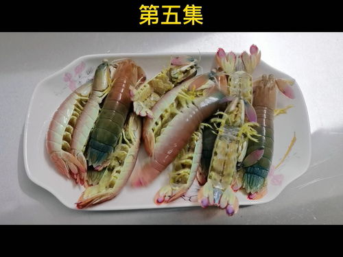 皮皮虾：挑战味蕾极限