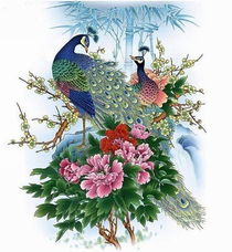 家里摆放孔雀风水上可行吗？