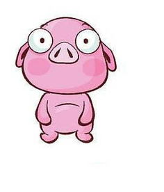 将冷水烫猪是什么生肖？冷水烫猪打一数字是什么意思？的改写长尾：将冷水烫猪的生肖和数字代表什么含义？