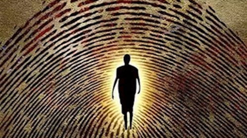 八月出生的人命运如何？他们的命运特点有哪些？